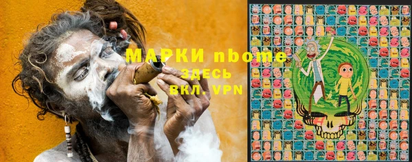 шишки Елабуга