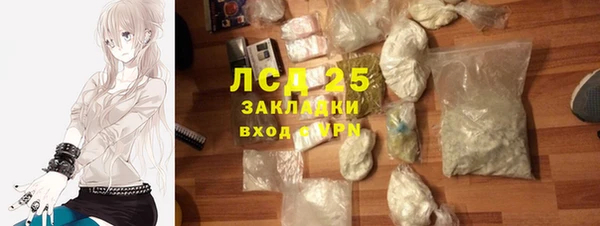 шишки Елабуга