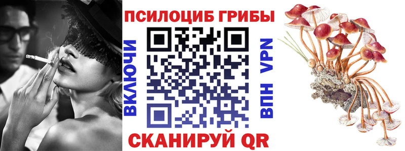 Псилоцибиновые грибы MAGIC MUSHROOMS  Купить где  Андреаполь 